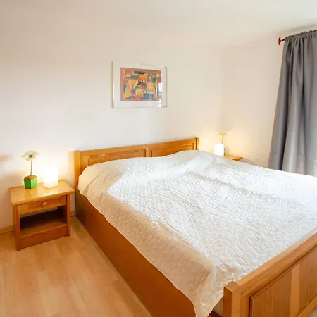 Pflughaupt Nr8 다메